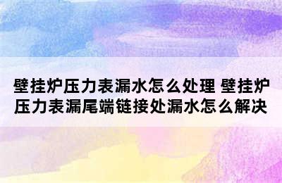 壁挂炉压力表漏水怎么处理 壁挂炉压力表漏尾端链接处漏水怎么解决